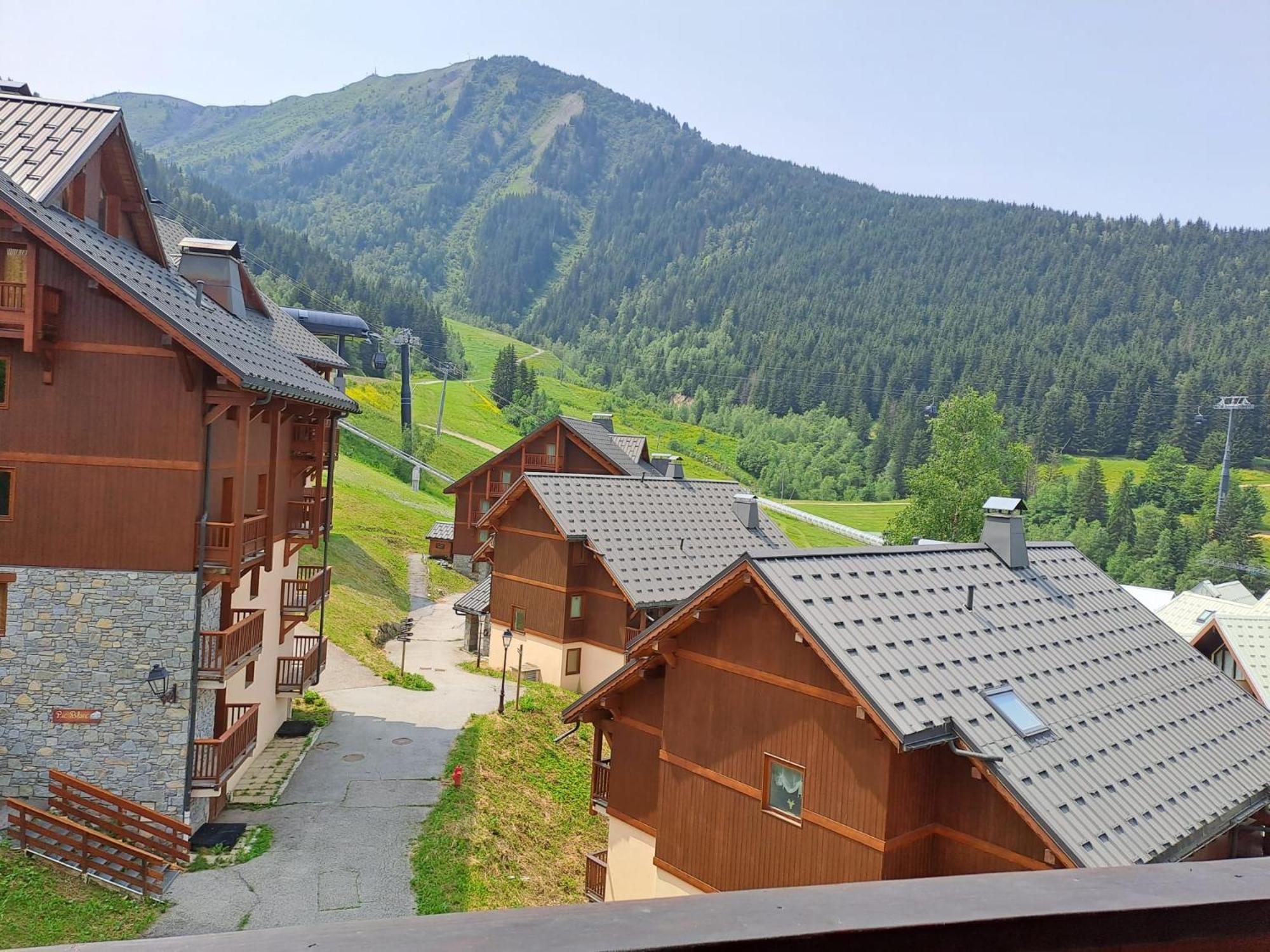 Chalet Des Neiges Oz En Oisans Oz Eksteriør bilde